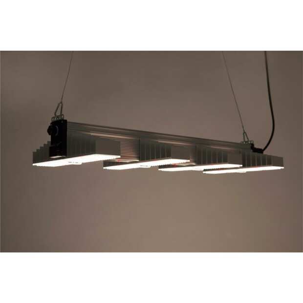 Sanlight EVO 4-100, 250W und 696 µmol/s XX