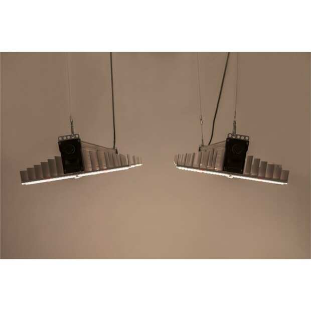 Sanlight EVO 4-100, 250W und 696 µmol/s XX