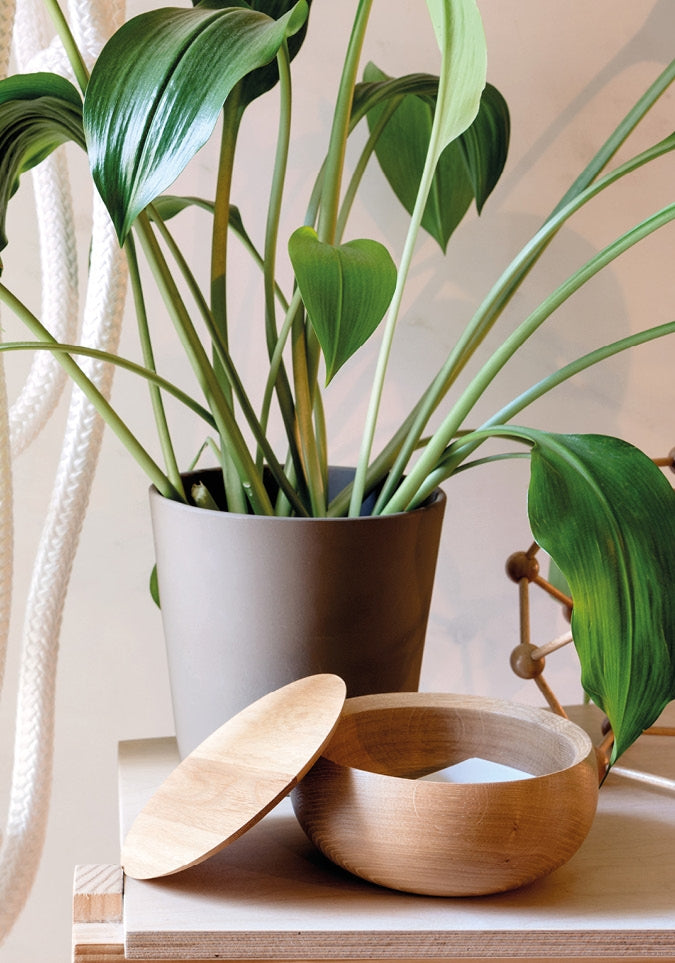 Hochwertige Holzschale BOWL – Edles Designobjekt für Ihr Zuhause