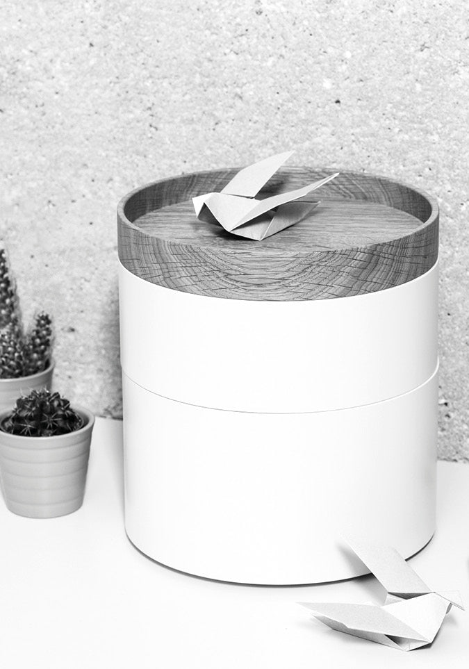 Capsule: Luxuriöses Schalen-Trio aus Holz – Stilvolle Aufbewahrung mit Design-Akzent