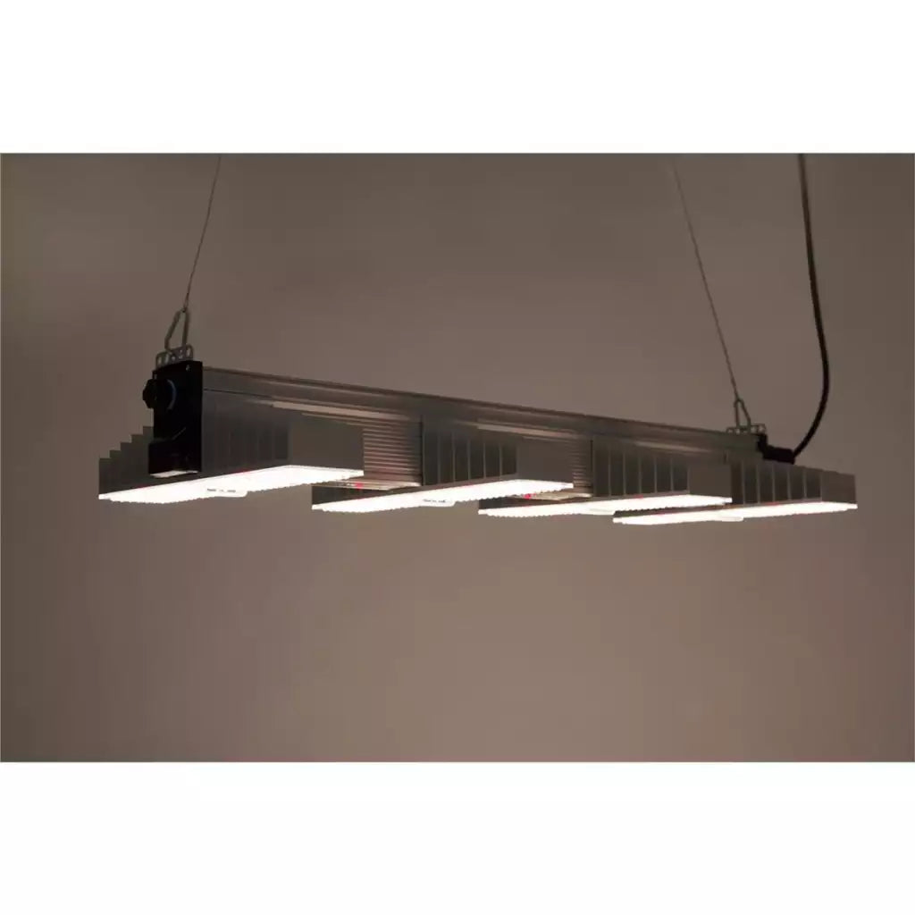 SANlight EVO 4-100 1.5 | 265 Watt | 725 ᄉmol/s