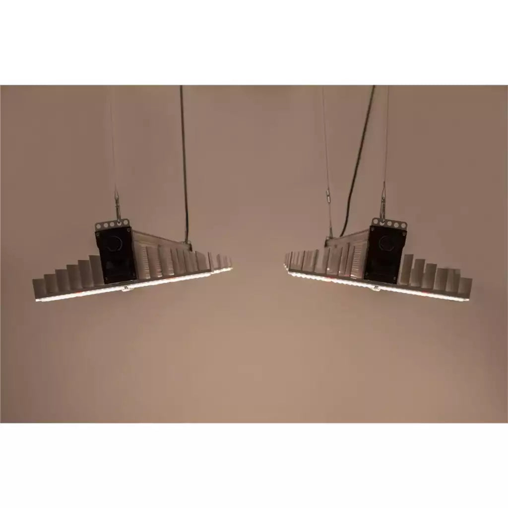 SANlight EVO 4-100 1.5 | 265 Watt | 725 ᄉmol/s