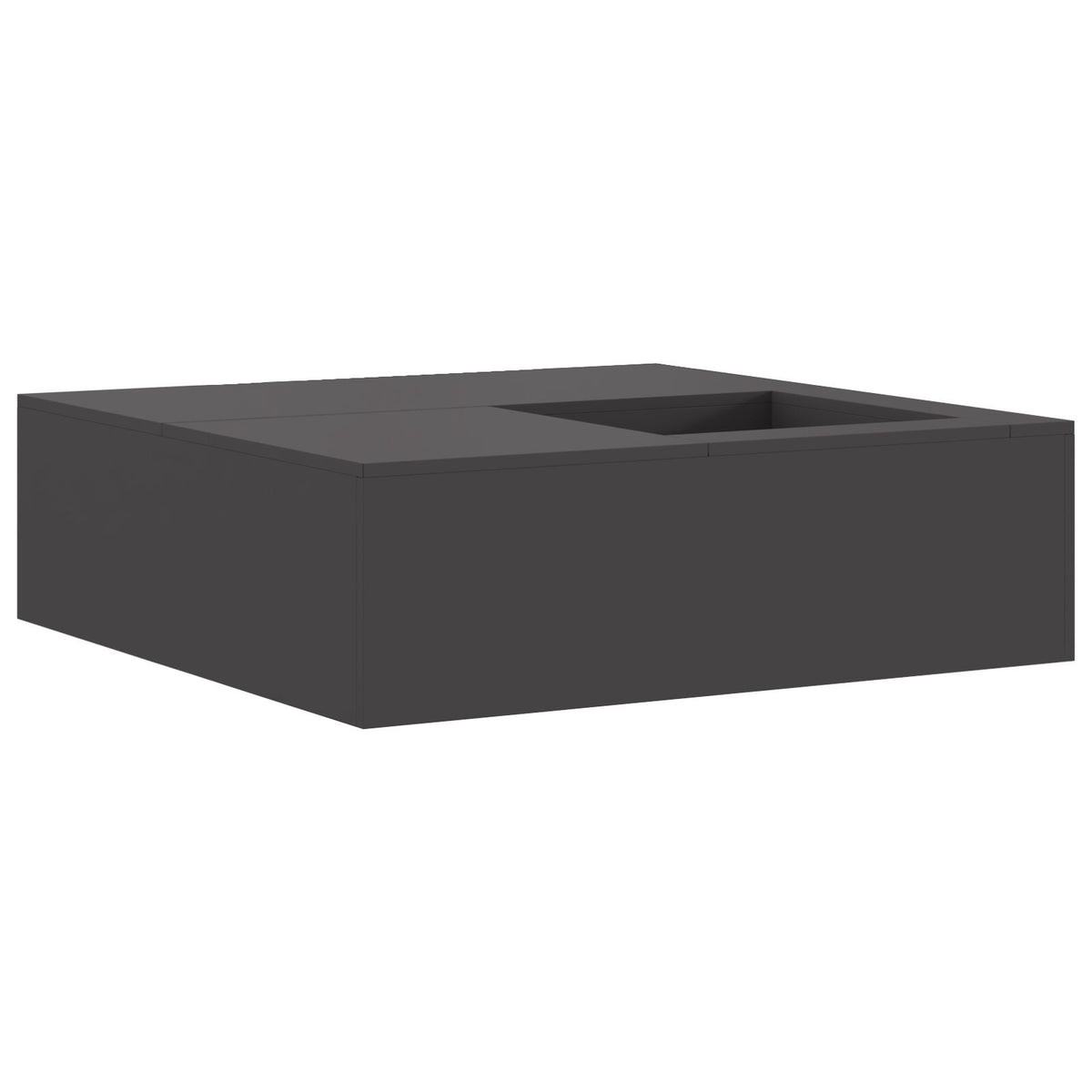 Feuerstelle mit Holzlager Schwarz 100x100x30 cm Stahl