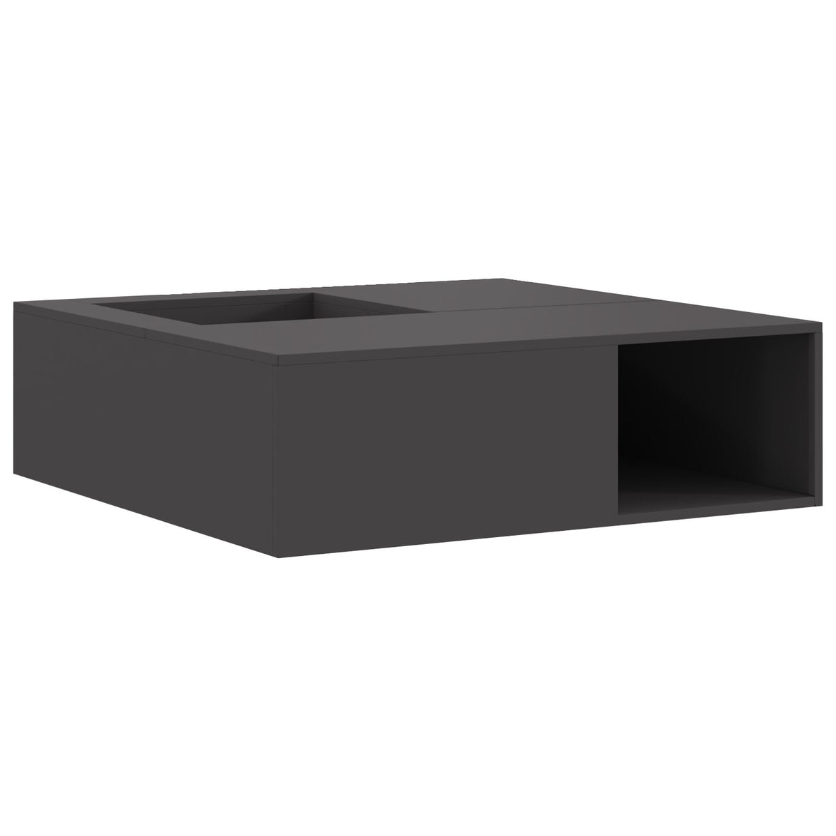 Feuerstelle mit Holzlager Schwarz 100x100x30 cm Stahl