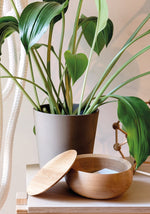 Hochwertige Holzschale BOWL – Edles Designobjekt für Ihr Zuhause