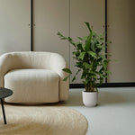 Caryota Mitis - 110 cm - Ø19cm