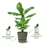 Topf Greenville Round grün- D39 x H37